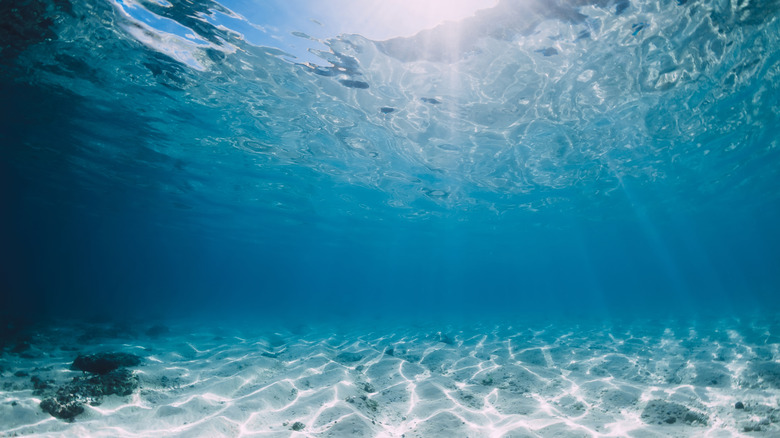 Sandy ocean floor