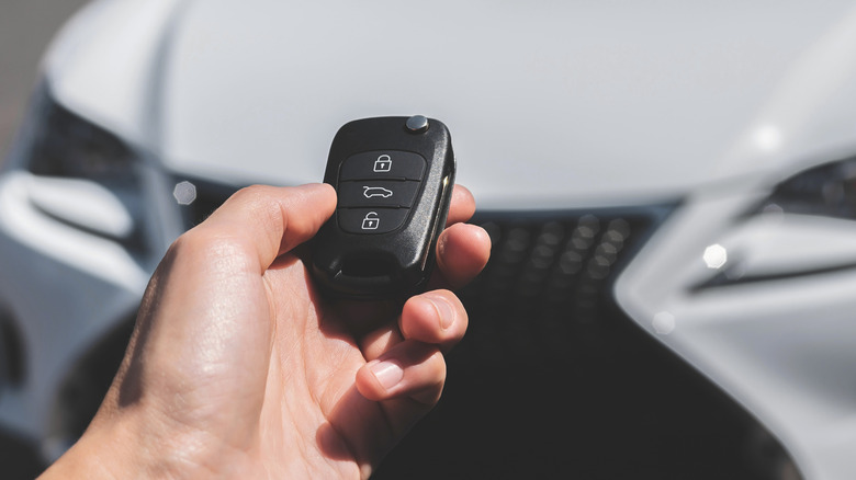 Hand holding key fob