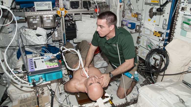 Spinal Ultrasound Investigation in space