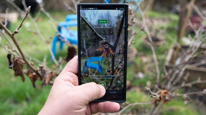 Seek app on android phone