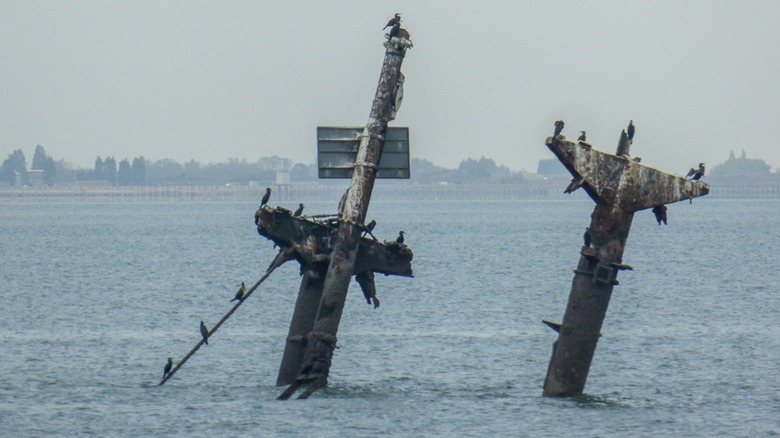Visible masts of the wreck of SS Richard Montgomery above the waterline