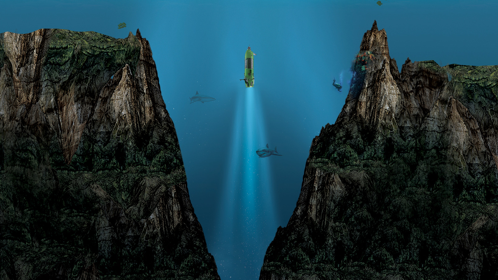 The Deepest Depth Any Person Has Explored In The Ocean