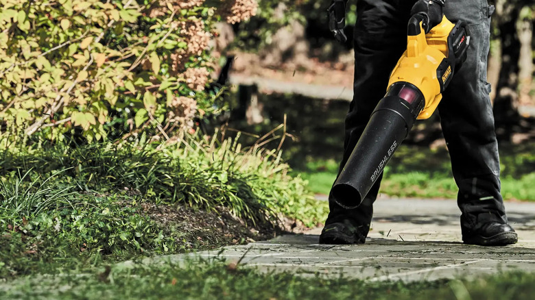 A DeWalt Flexvolt 60V blower used in a yard.