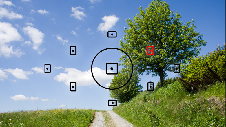 autofocus point highlighted in red 