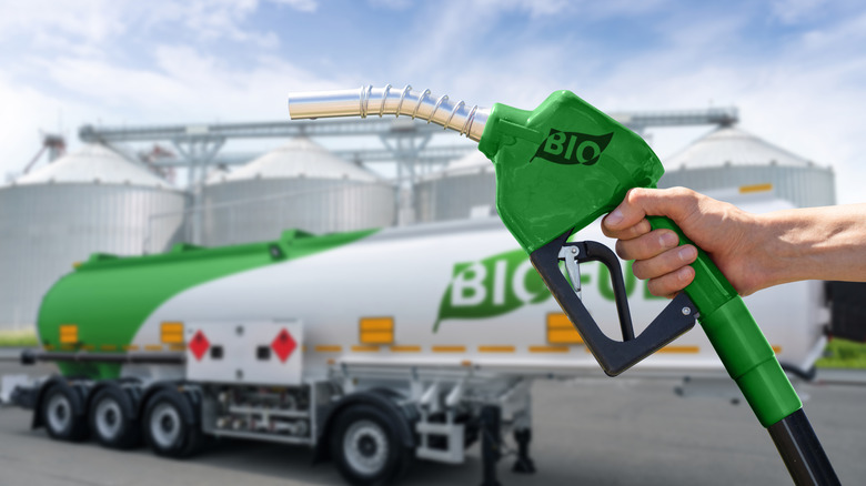 Hand holding fuel pump with the word Bio on it.