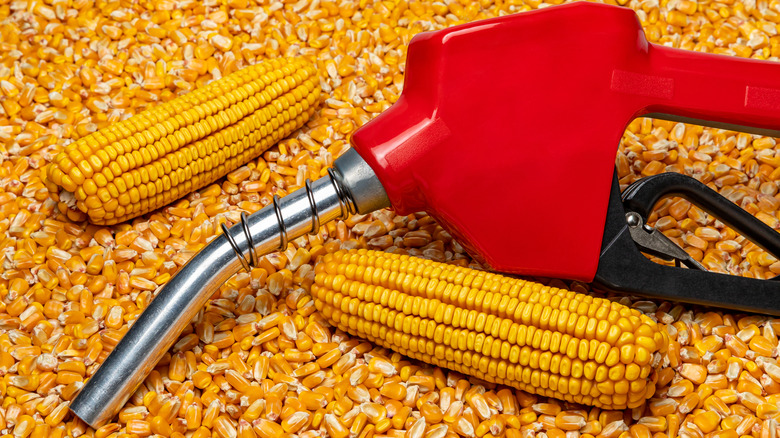 Fuel pump resting on bed of corn kernels.