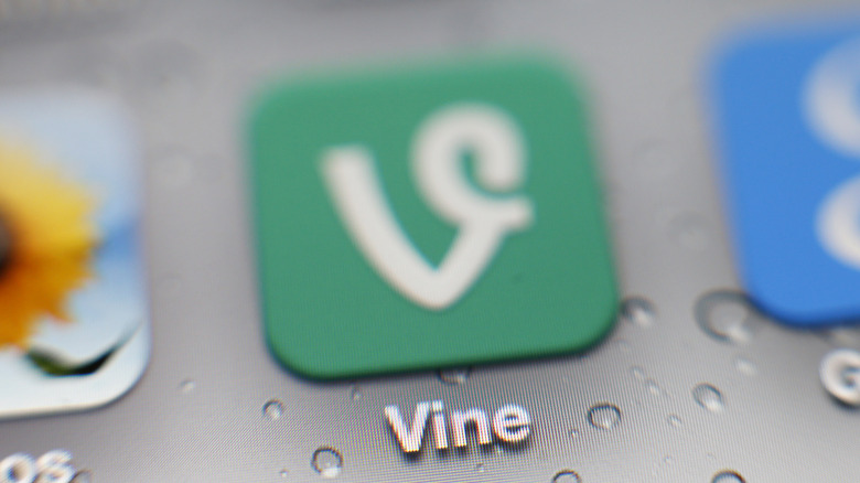 Vine app logo on a smartphone screen