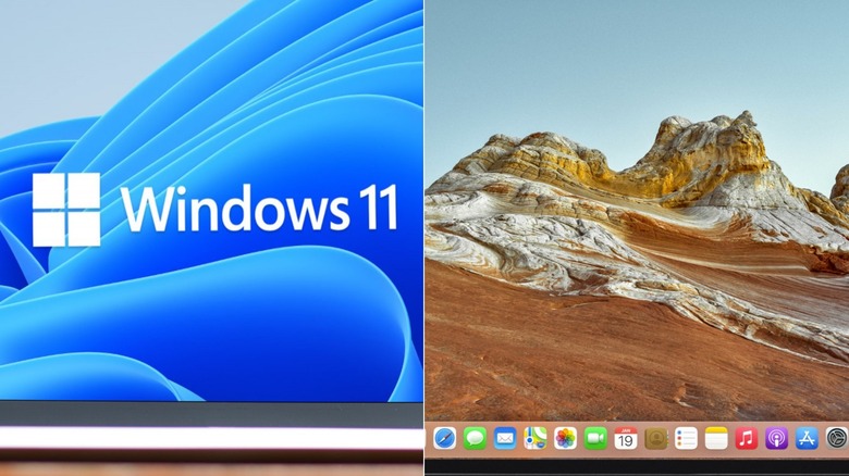 windows 11 and macOS laptop