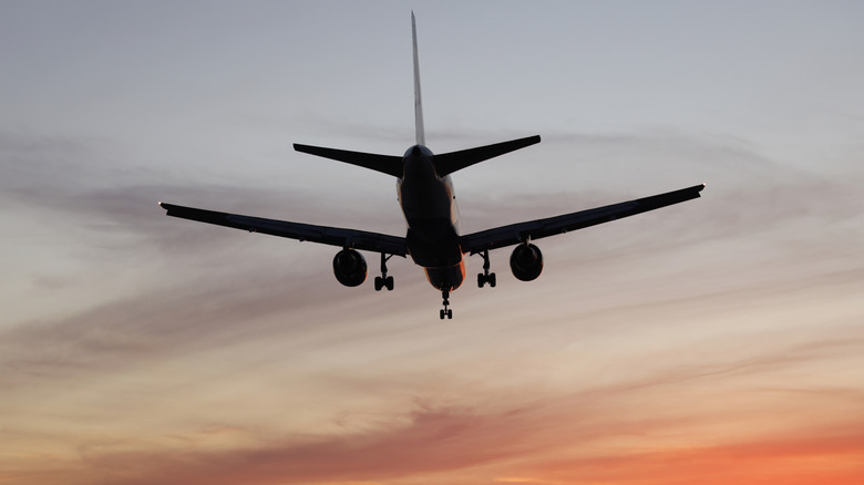 Plane silhouette flies away against sunset