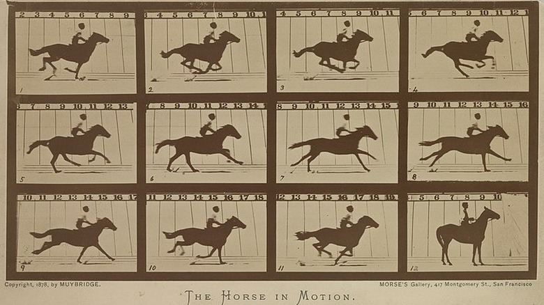 The Horse in Motion