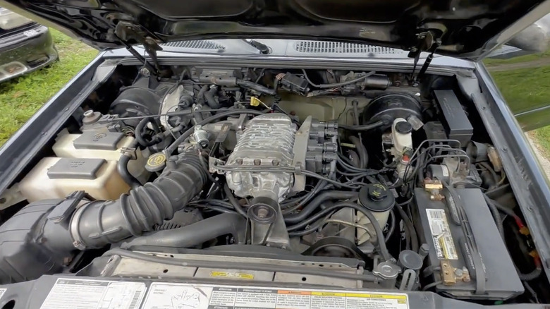 Underhood view of supercharged 5.0 V8 engine in Saleen Explorer XP8.