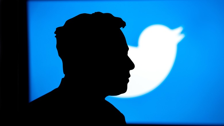 Elon Musk silhouette and Twitter logo 