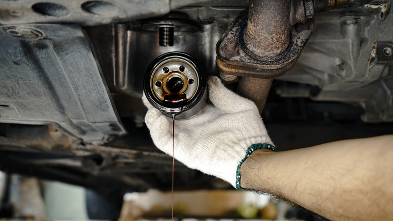 A mechanic removes the oil filter from a car