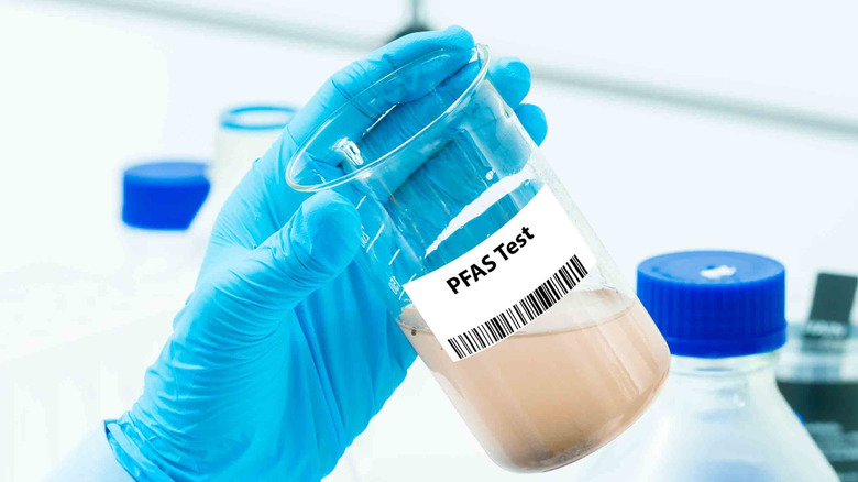 Scientist holding PFAS Test labeled beaker