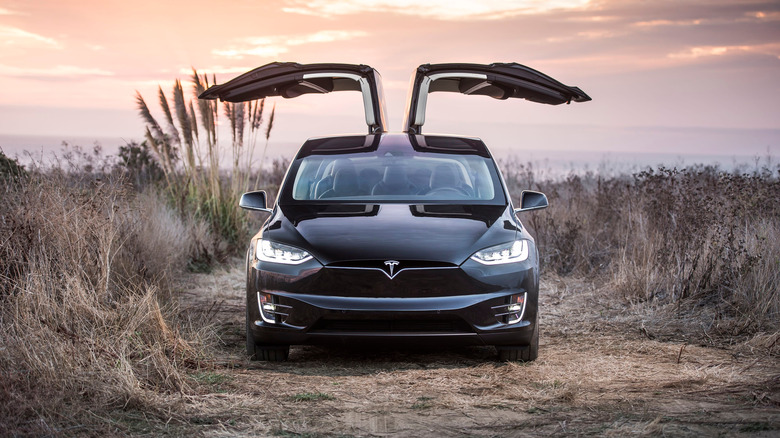 Tesla Model X Gull Wings