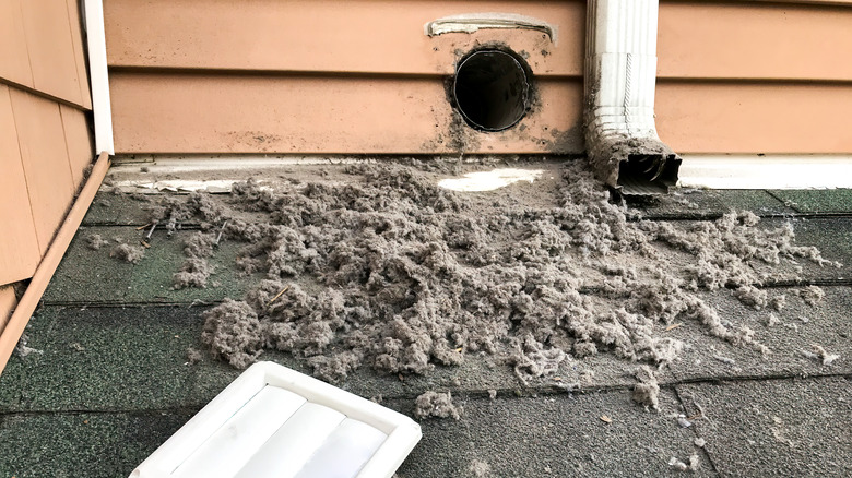 dryer machine lint