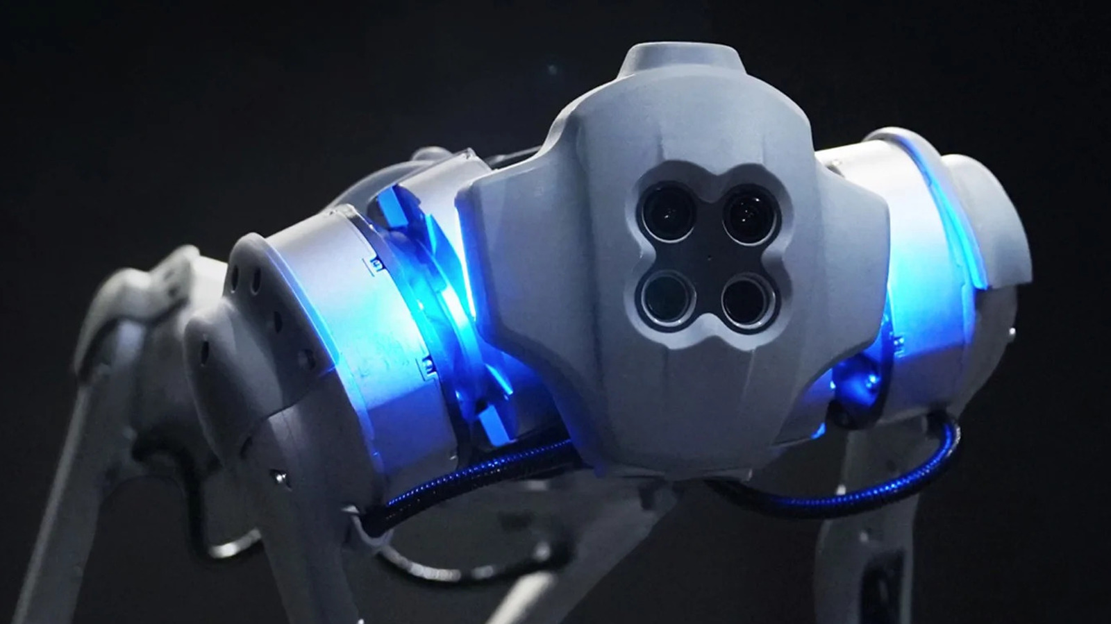 The Hilarious Truth Behind Russia's Rocket LauncherCarrying Dog