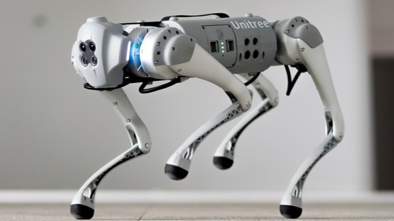 Unitree GO1 robot