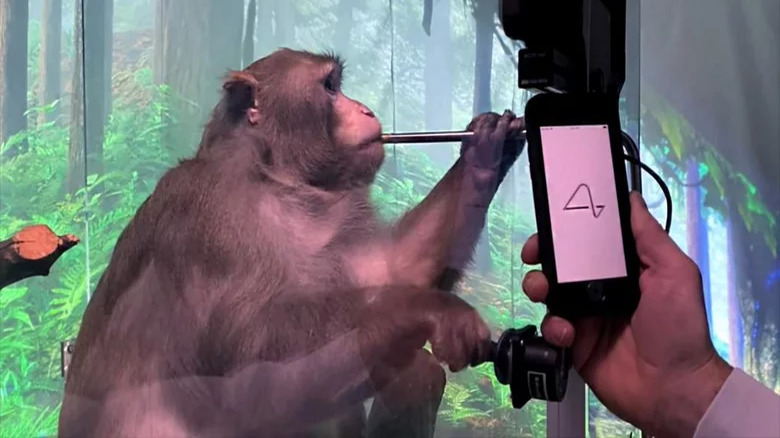 Neuralink monkey test