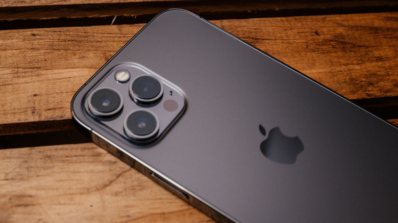 iPhone 13 Pro Max cameras