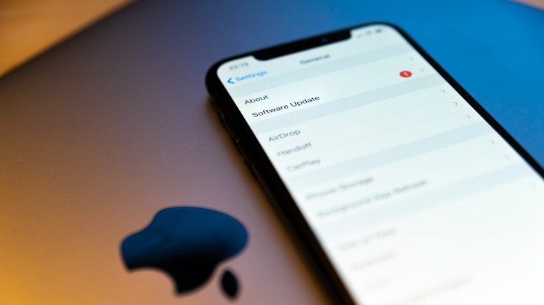 iPhone display showing software update menu