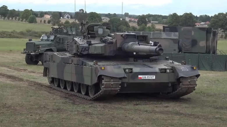 Polish K2 Black Panther in green grass