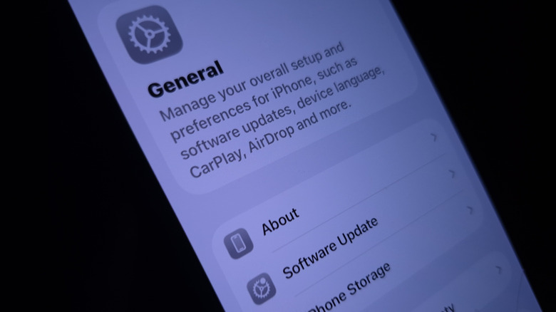 A picture of the General settings menu on iOS, featuring the Software Update tab