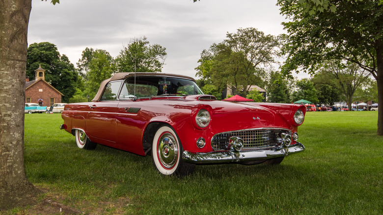 1955 Ford Thunderbird on grass