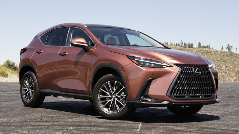 2025 Lexus NX 350h Luxury parked in the mountains