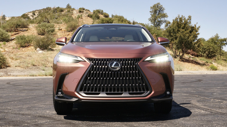 2025 Lexus NX 350h Luxury front grille