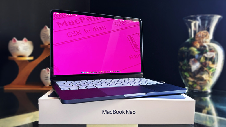 MacBook Neo dengan wallpaper Apple berwarna pink cerah sebagai latar belakang