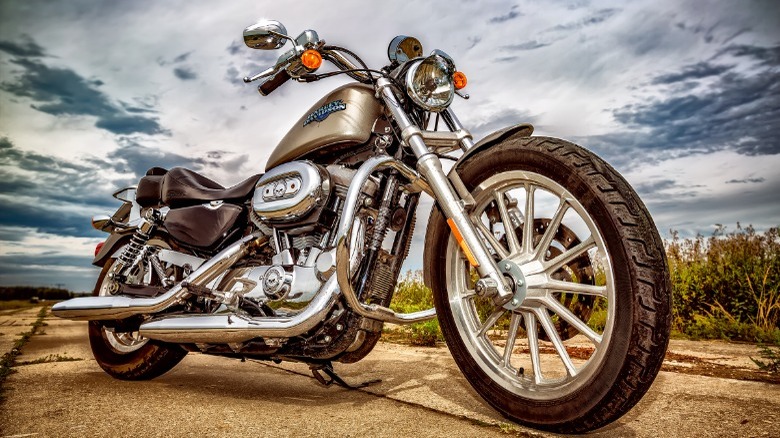 harley-davidson cruiser motorcycle