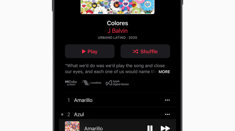 Apple Music app supports lossless playback