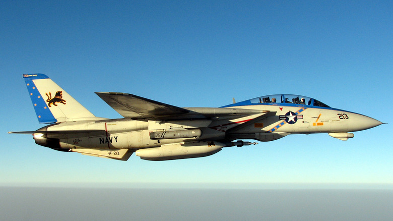 F-14 Tomcat flying at altitude in a cloudless sky