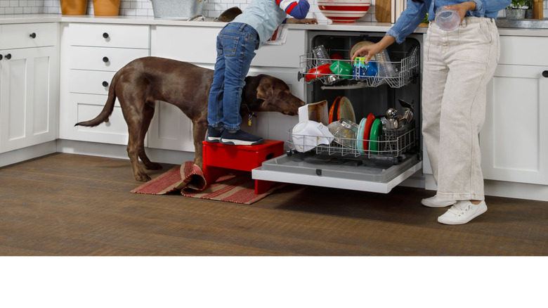 A woman, child, and dog in a kitchen, loading a dishwasher.