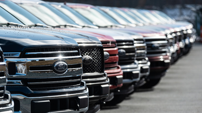Ford F-150s parked in a row