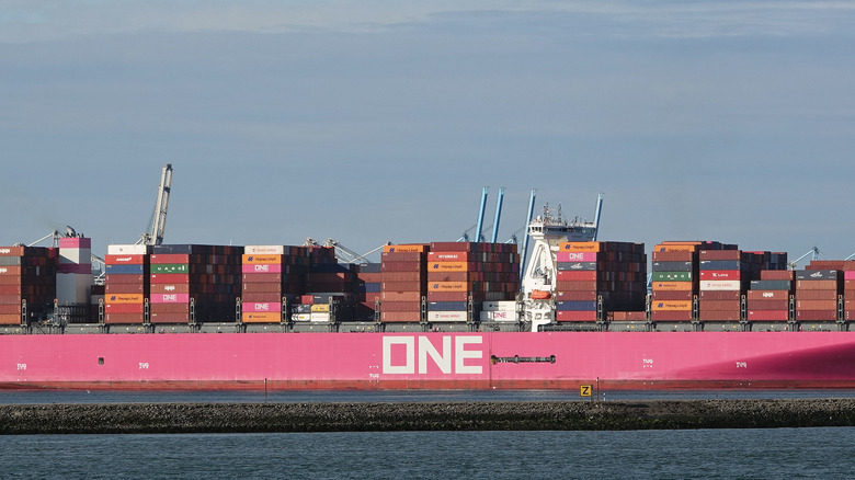 The ONE Apus container ship pictured at sea.