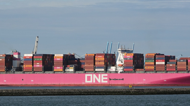 The ONE Apus container ship pictured at sea.