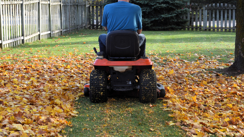 A man in a blue shirt rides a lawn tractor