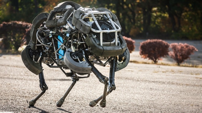 Wildcat robot