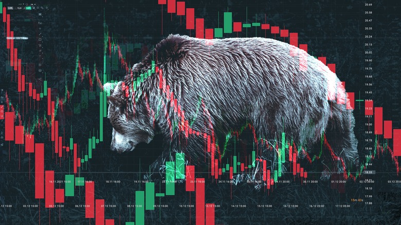 bear overlaid on price chart