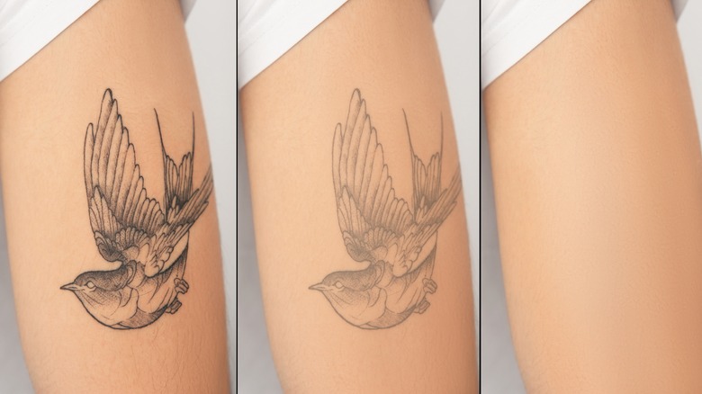 Disappearing bird tattoo