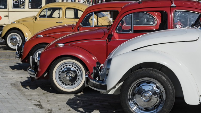 Classic Volkswagens