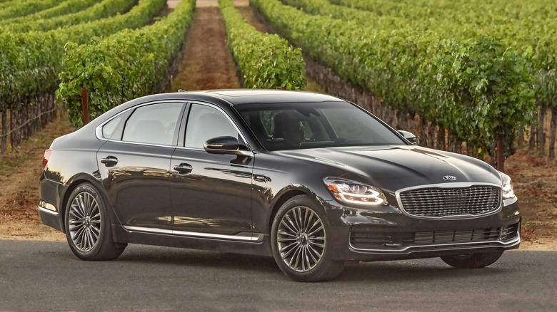 2019 Kia K900 by vineyard