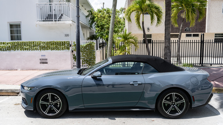 Ford Mustang Convertible parked on a street next to palm trees
