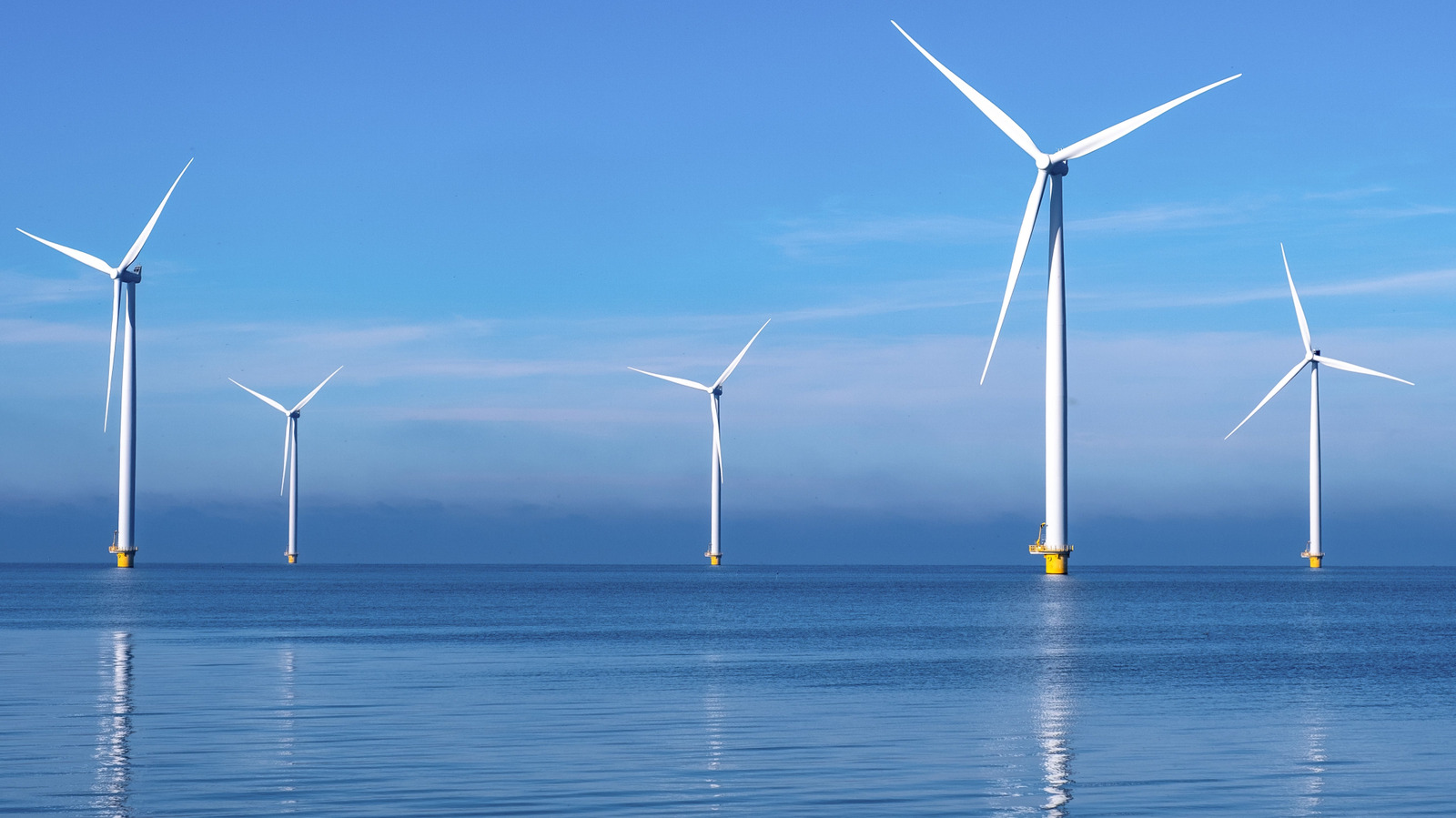 The Netherlands' Offshore Wind Farms Are Doing A Lot More Than Generating Electricity