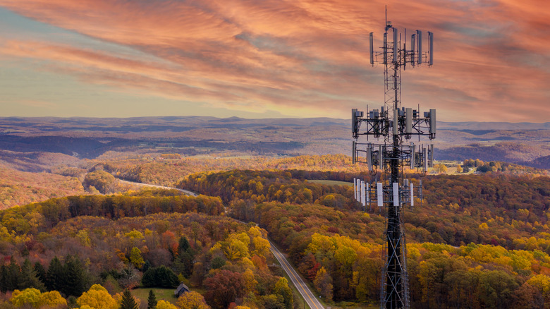 Phone mast near forest