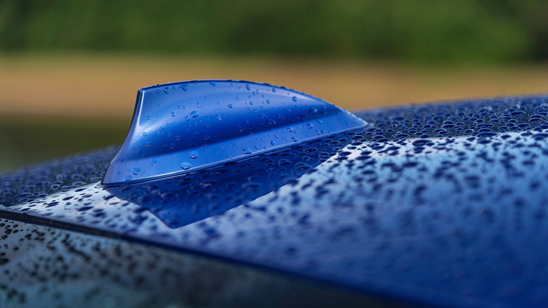 Blue car with shark fin antenna in rain