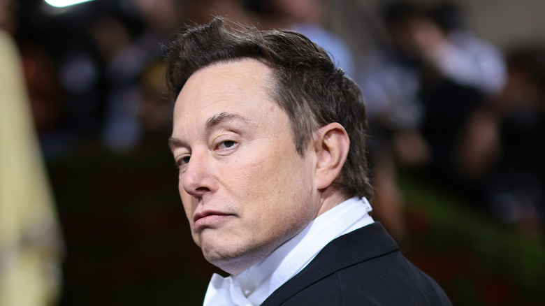 Elon Musk at Met Gala 2022