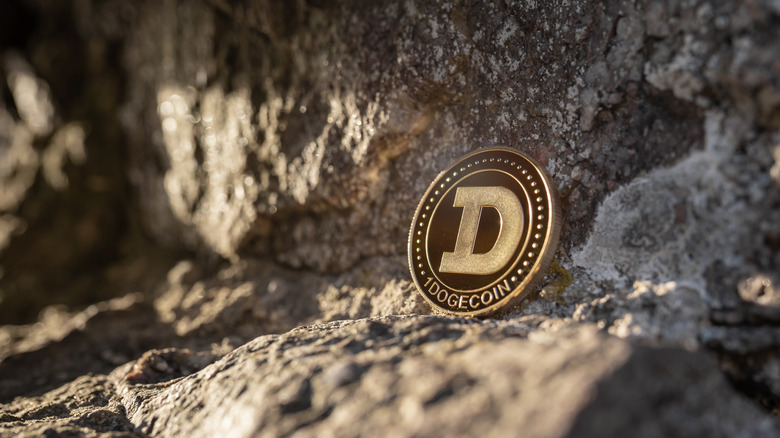 Dogecoin on rocky terrain